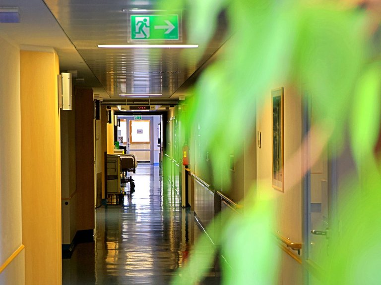 Krankenhausgang der Wertachkliniken mit grüner Pflanze im Vordergrund